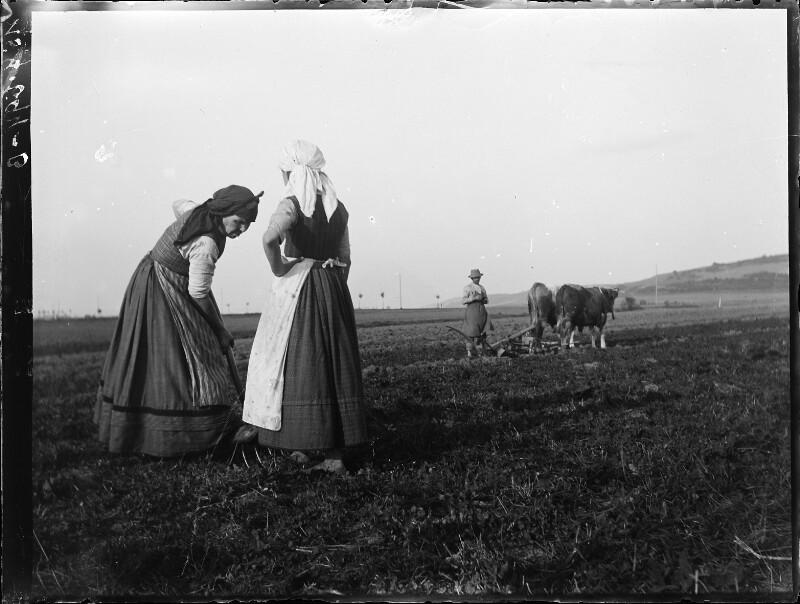 Arbeit auf dem Feld